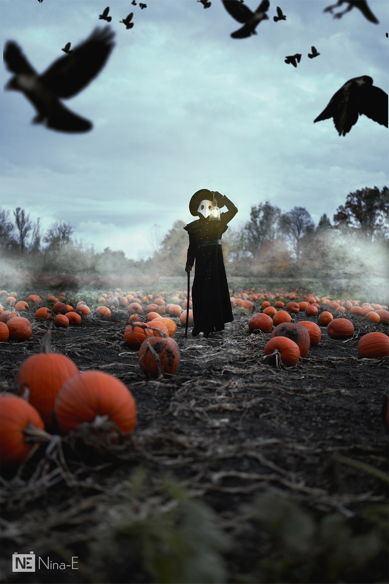 Pestärztin und Raben am Kürbisfeld